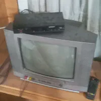 تلویزیون
