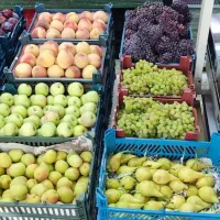 اجاره-مغازه-میوه-فروشی-با-دخل-خوب-پاخور-خوب