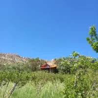 ۱۲۰ تجاری برای اجاره