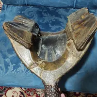 شلاق زین و رکاب اسب قدیمی کلکسیونی آنتیک|کلکسیون اشیاء عتیقه|نکا, |دیوار
