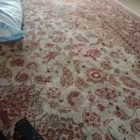 قالی تمیز