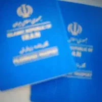 گذرنامه زیارتی، خرید ارز اربعین