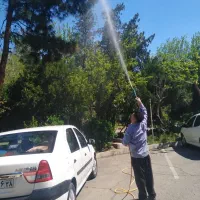 سم پاشی علف زنی کاشت گل خریدارمیوه شما روی درخت