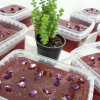 خدمات اپیلاسیون عربی و اصلاح استخدام پرسنل