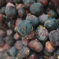 میوه|خوردنی و آشامیدنی|ایذه, |دیوار