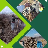 احداث باغ ، سم پاشی ، هرس،فضای سبز مهندسی و مدرن
