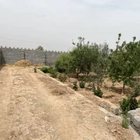 باغ-چهار-دیواری