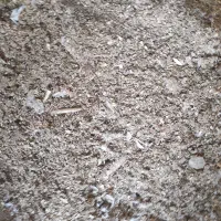 کود مرغ|گل و گیاه طبیعی|شیروان (خراسان), |دیوار