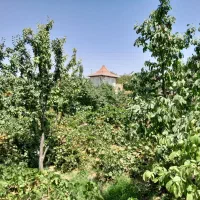 باغ-ویلایی