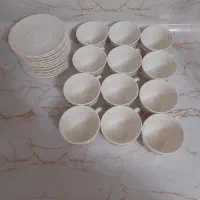 فنجان ونعلبکی ارکوپال اصل