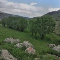 زمین-چمنزار-مناسب-باغ