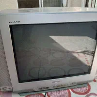 تلویزیون
