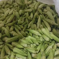 بامیه خورشتی منصوریه