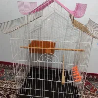 قفس پرنده