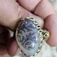 شجر طبیعی قائن