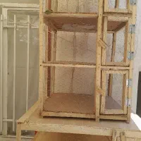 چخ کفتر