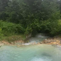 سفرجنگلی آخر هفته