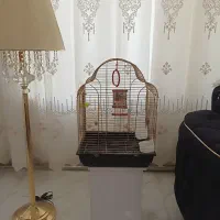 قفس نو با تمام وسایل
