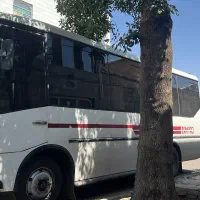 مینی بوس a80 سوپر دار  درجه یک
