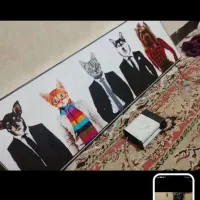 سگ پیدا شده