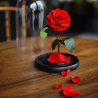 جویای کار مسئول فنی صنایع غذایی