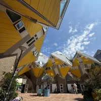 بلوار-ولیعصر-240m-جنوبی-تراکم-8-سقف