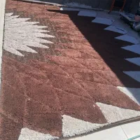دوتا فرش ۱۲ متری شگی(پرز بلند)