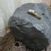 شهاب سنگ