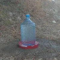 نذر طبیعت