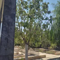 باغبان واردبه کار باغبانی