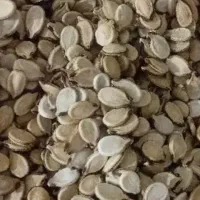 تخمه هندوانه شمارانقدا خریداریم