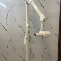 گرافی تک دندان پایه دار