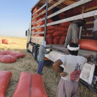 خرید و فروش و ارسال کاه به سراسر ایران