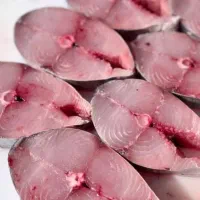 انواع ماهی ومیگو تازه ارسالی فقط انجام میشه