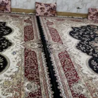 فرش ۱۲|فرش|خرمآباد, |دیوار