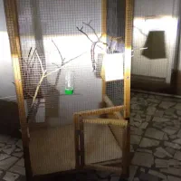 فروش قفس پرنده