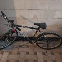 دوچرخه مارک دماوند