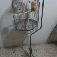 قفس پرنده