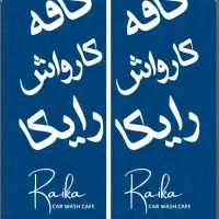 نیرو کارواش