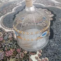 قفس طرقه