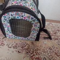 کیف پرنده