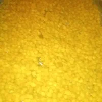 آلو|خوردنی و آشامیدنی|نیشابور, مبارکه|دیوار