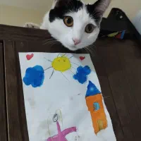 واگذاری رایگان