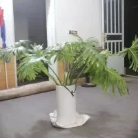 گل وگیاه طبیعی