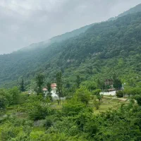ویلای جنگلی  استخردار
