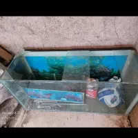 آکواریم بزرگ