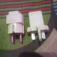 کلگی اصلی