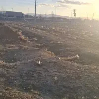 اجاره-زمین-مجانی