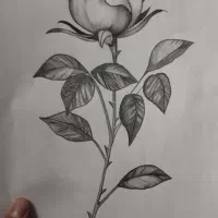 نقاشی