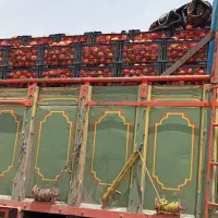 نیازمند  ،شاگرد ماشین بر تک باری